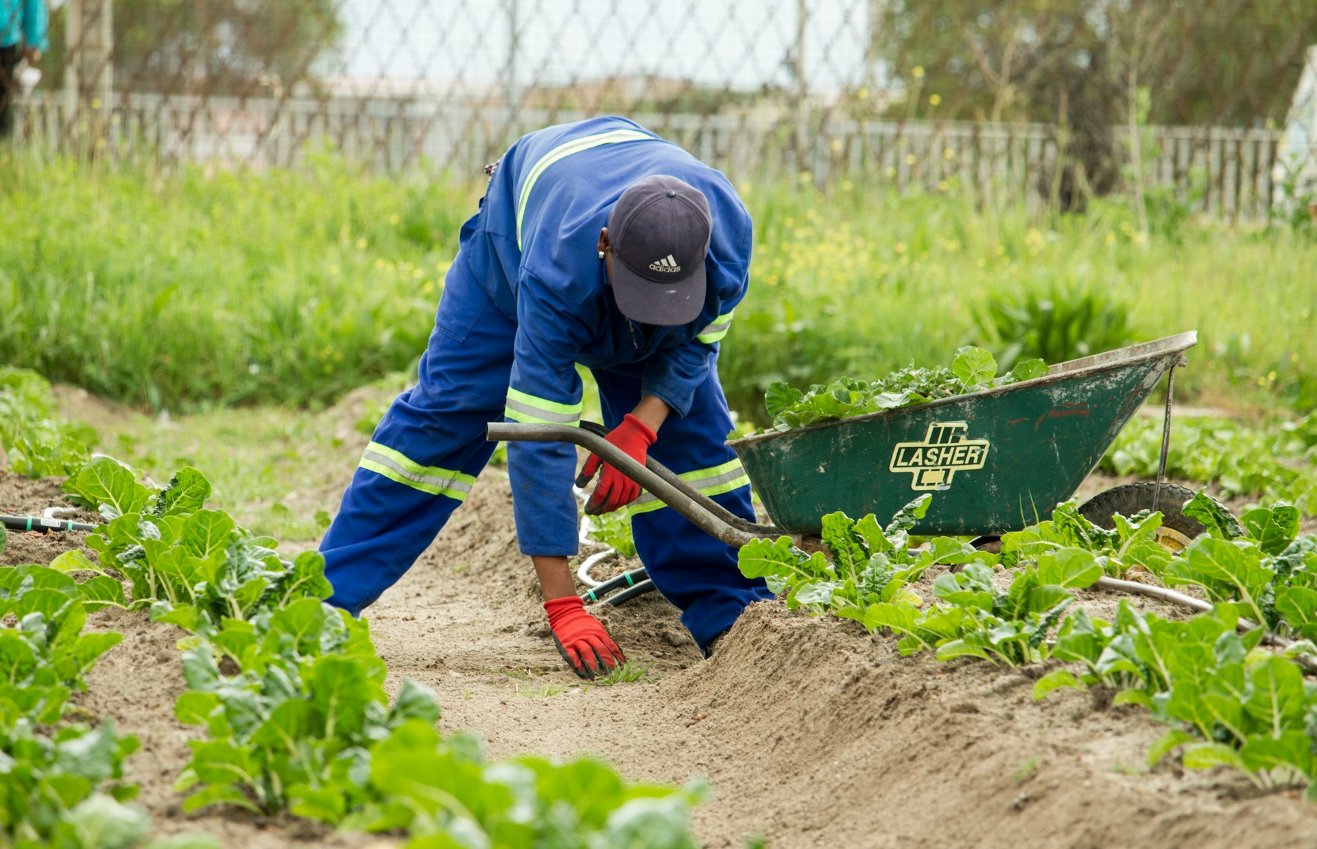 Garden & Ground Cleaning service preview
